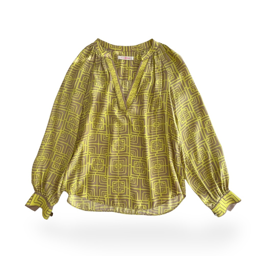 ✧ Silk blouse
